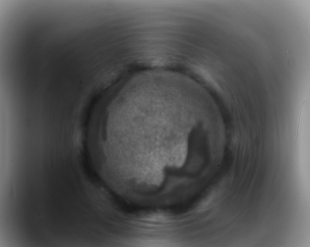 X0000088920643200706151925
