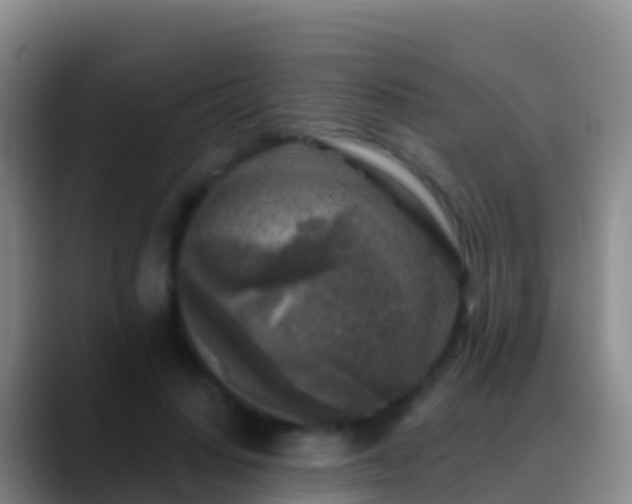 X0000088920644200706151925