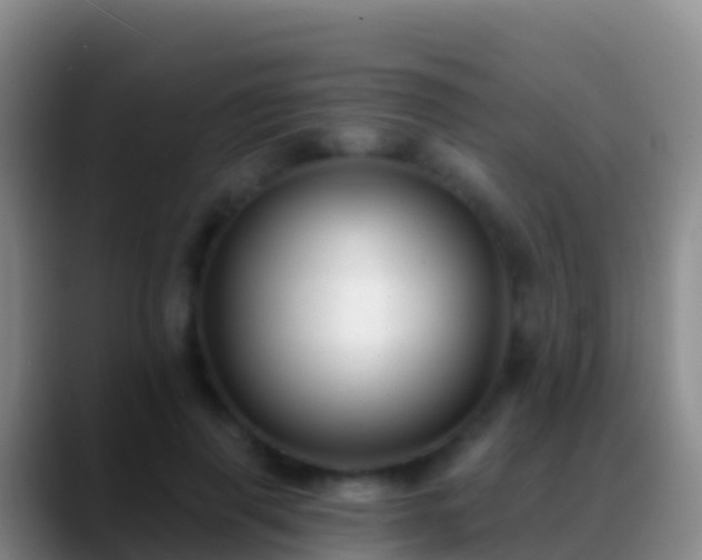 X0000088920645200706151925
