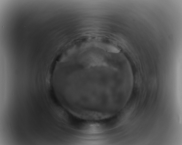 X0000088920650200706151925