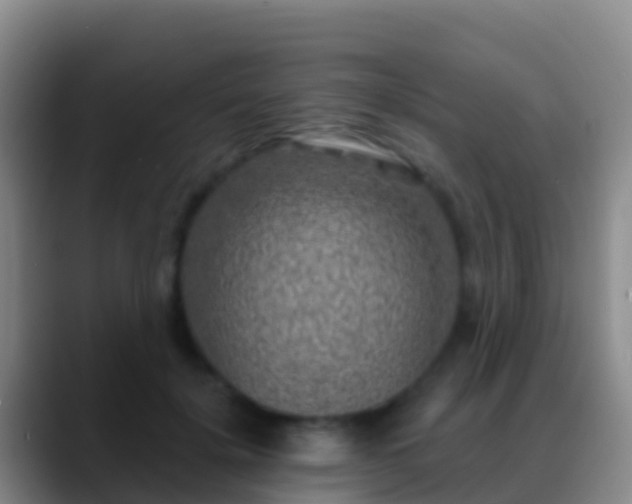 X0000088920652200706151925
