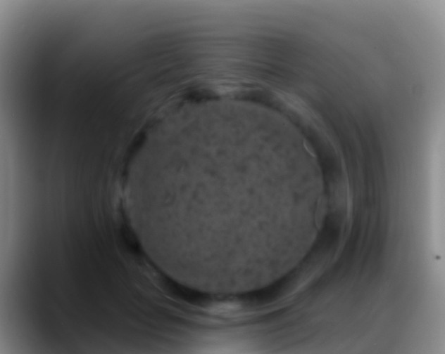 X0000088920653200706151925