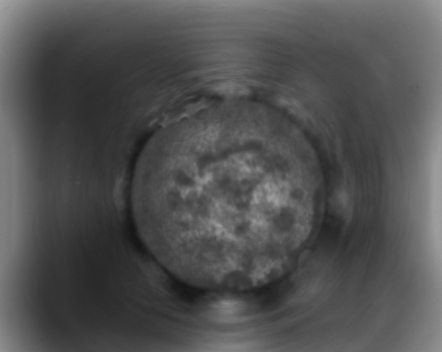 X0000088920658200706151925