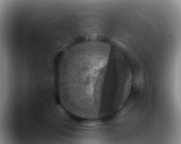 X0000088920661200706151925