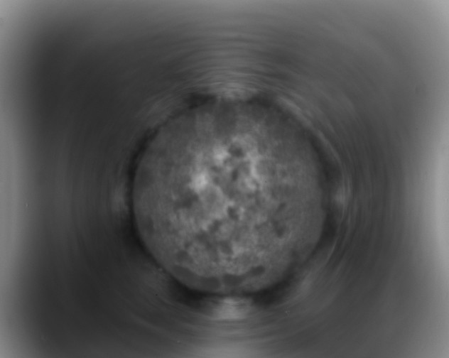 X0000088920663200706151925