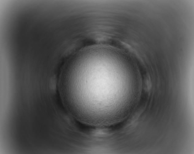X0000088920664200706151925