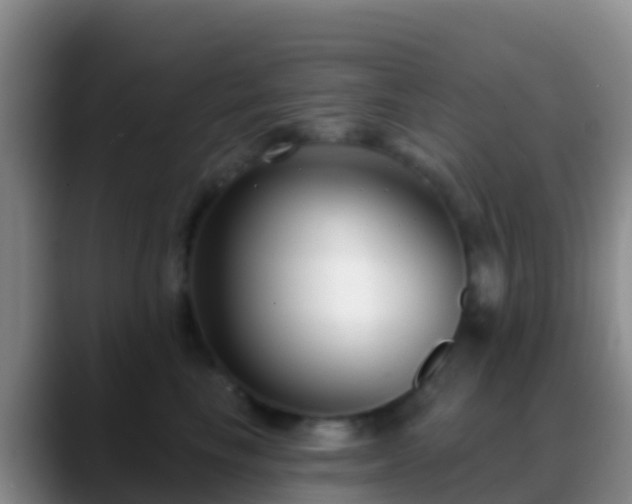X0000088920665200706151925