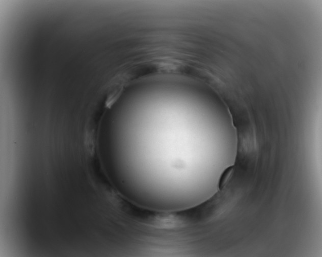 X0000088920666200706151925