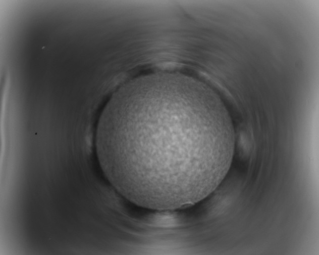 X0000088920668200706151925