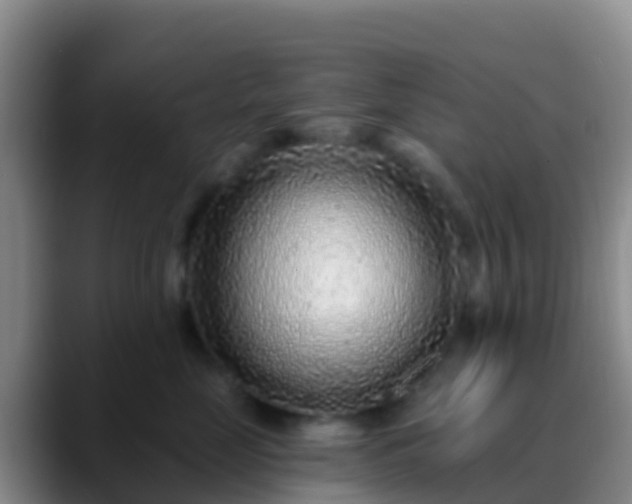 X0000088920669200706151925