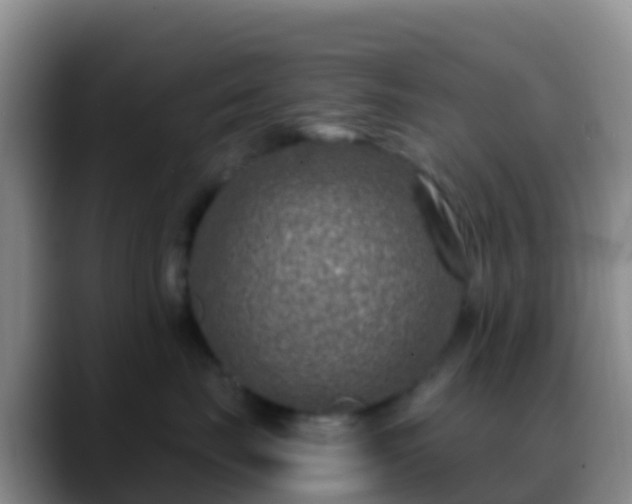 X0000088920671200706151925