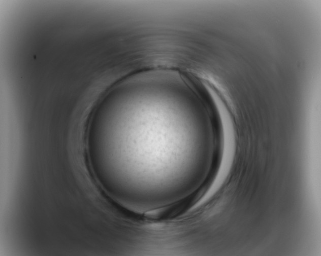 X0000088920673200706151925