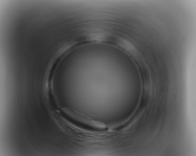 X0000088920674200706151925