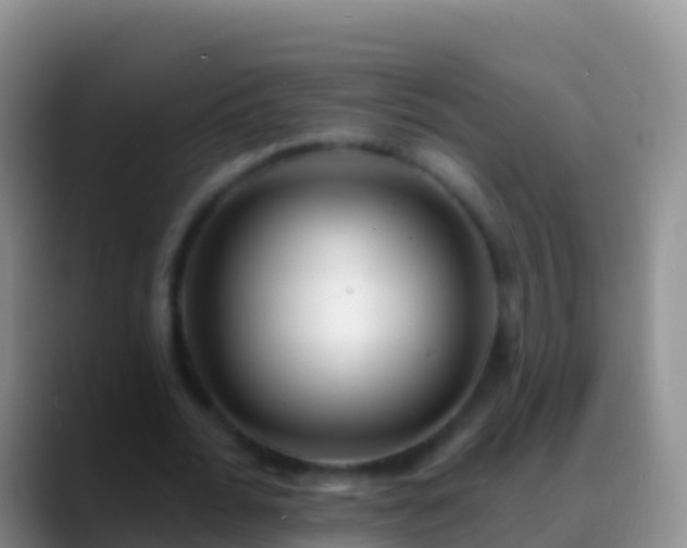 X0000088920676200706151925