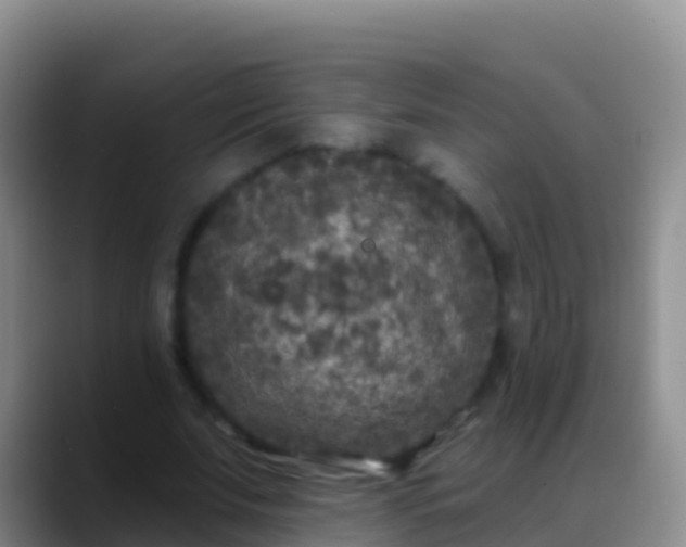 X0000088920679200706151925