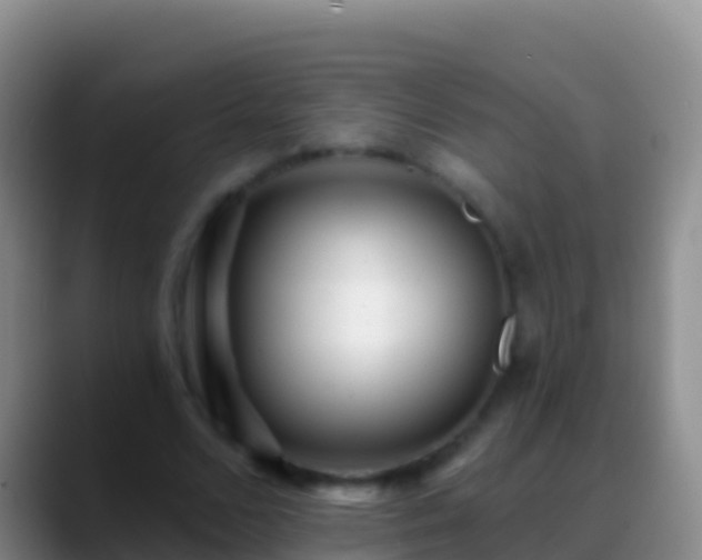 X0000088920680200706151925