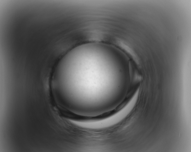 X0000088920681200706151925