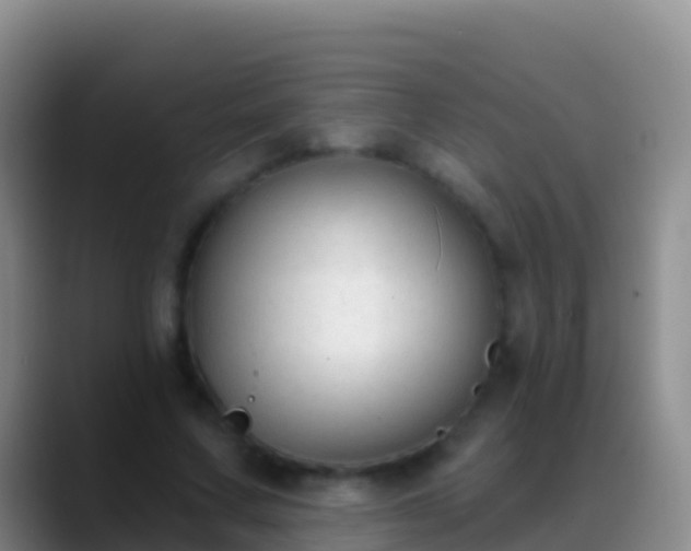 X0000088920683200706151925