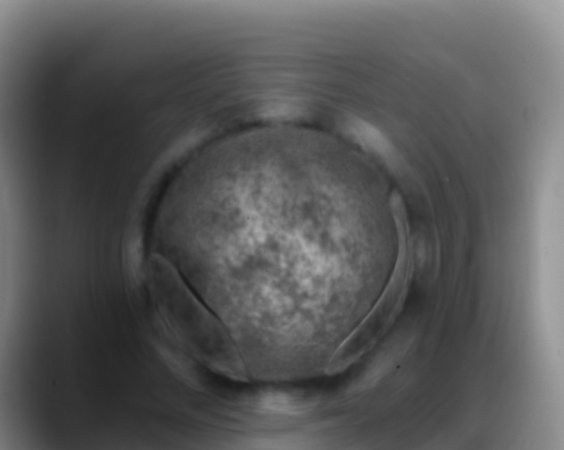 X0000088920684200706151925