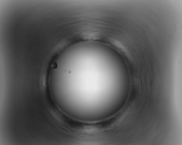 X0000088920686200706151925