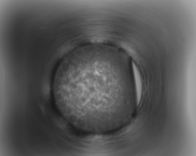 X0000088920687200706151925