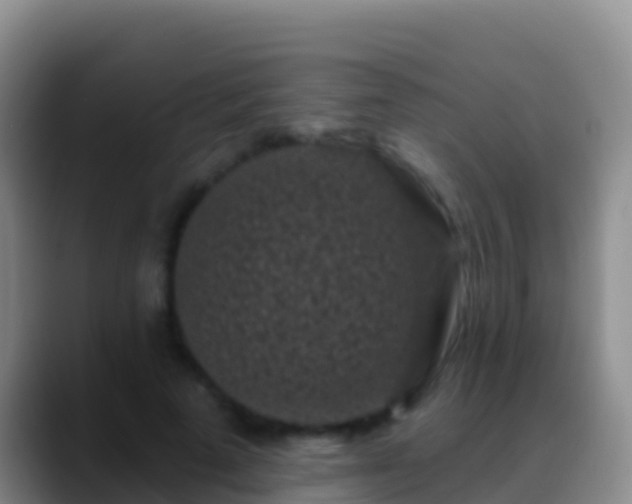 X0000088920689200706151925