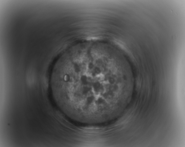 X0000088920691200706151925