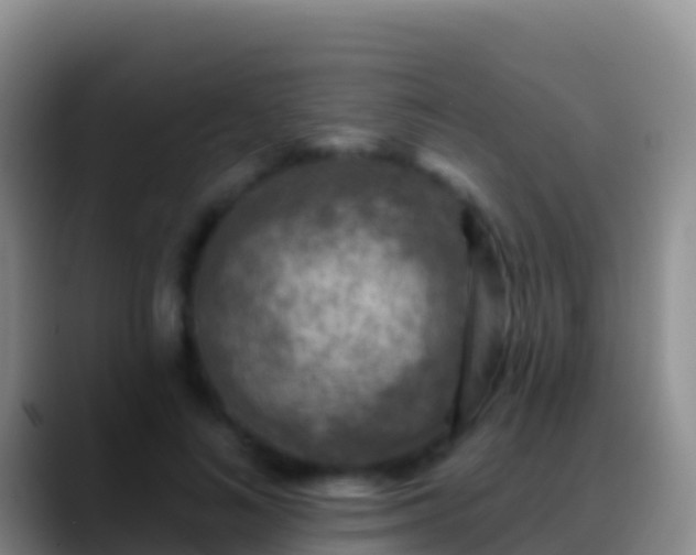 X0000088920692200706151925