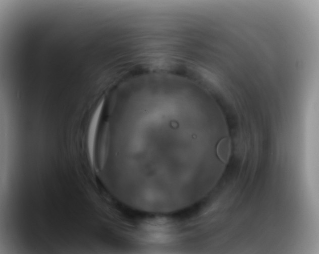 X0000088920695200706151924