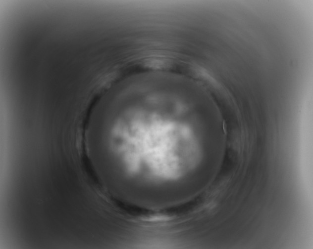 X0000088920696200706151924