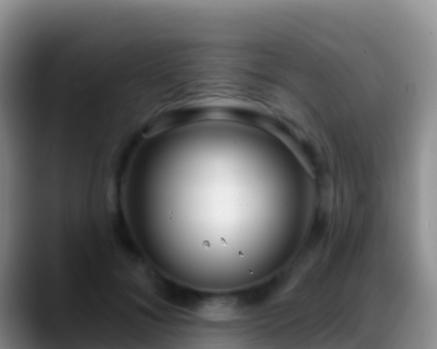 X0000088920700200706151924