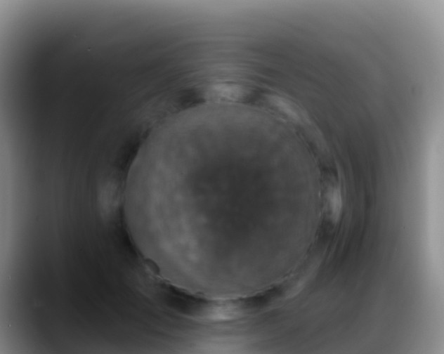 X0000088920701200706151924