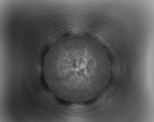 X0000088920703200706151924