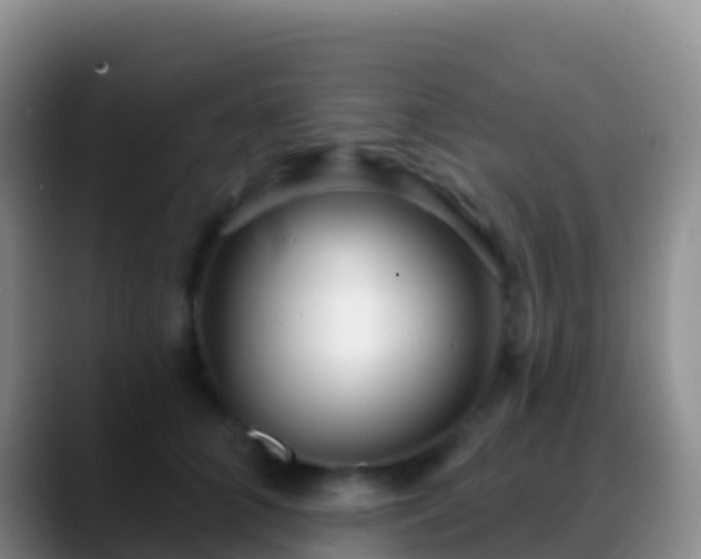 X0000088920704200706151924