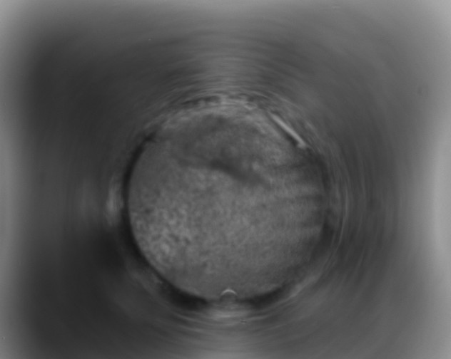X0000088920707200706151924