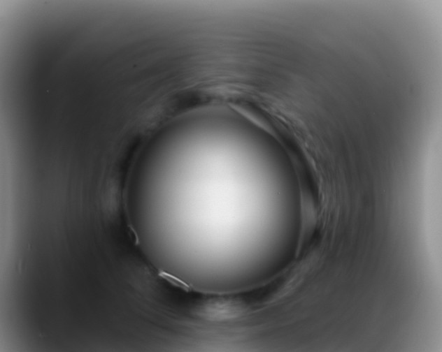 X0000088920708200706151924