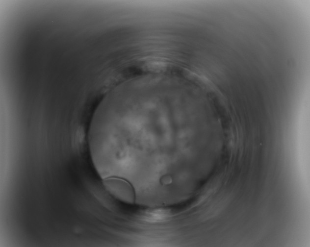 X0000088920711200706151924