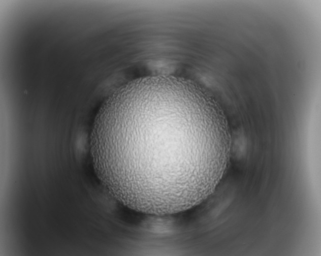 X0000088920713200706151924