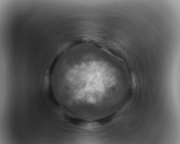 X0000088920716200706151924