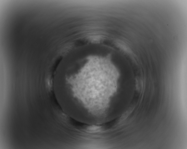 X0000088920718200706151924