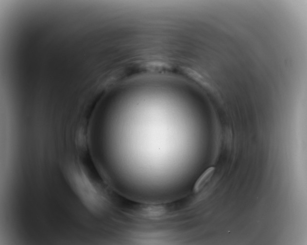X0000088920719200706151924