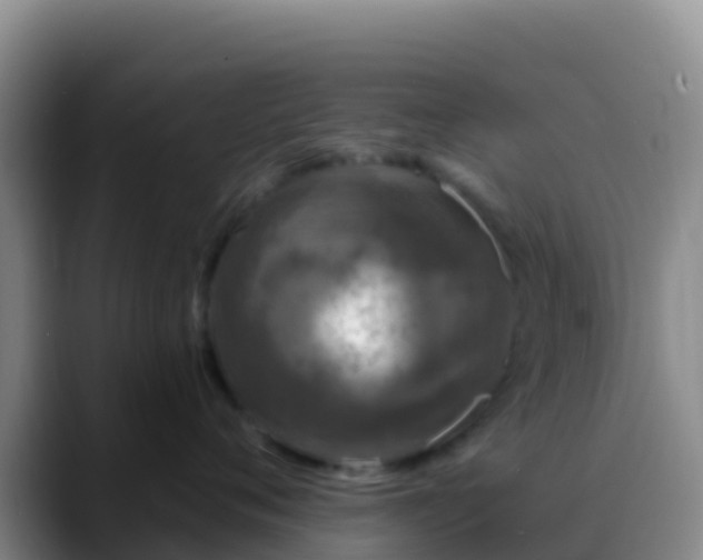 X0000088920720200706151924