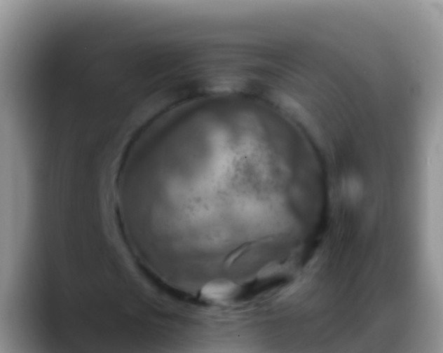 X0000088920721200706151924