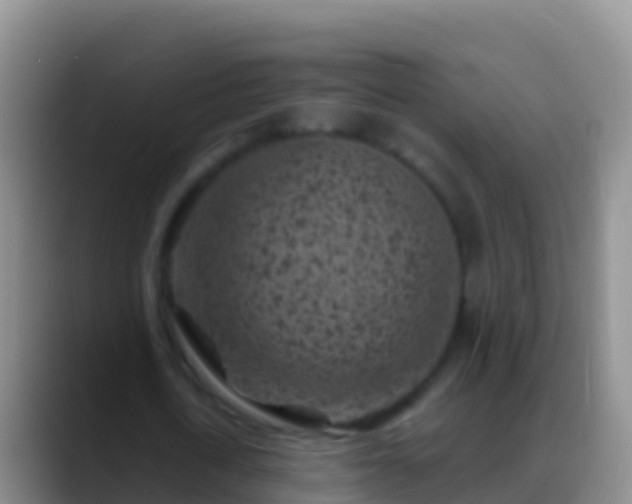 X0000088920722200706151924