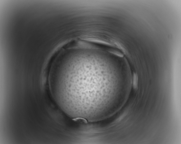 X0000088920723200706151924