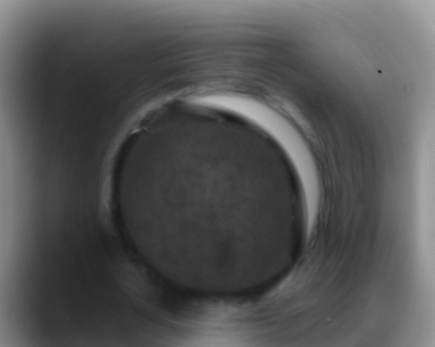 X0000088920724200706151924