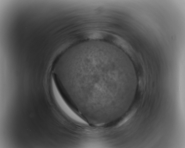X0000088920725200706151924