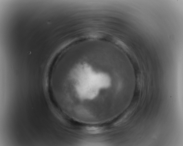 X0000088920726200706151924