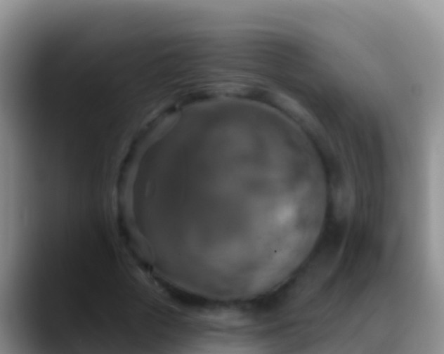 X0000088920729200706151924