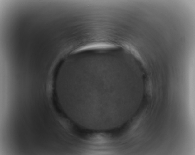 X0000088920736200706151924